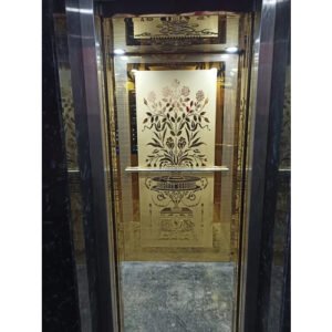 Gold Finish Passenger Elevator Cabin